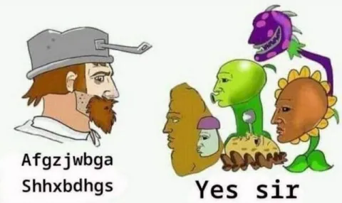 Afgzjwbga Shhxbdhgs Yes Sir