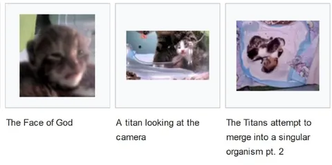 Cats Become a Singular Titan