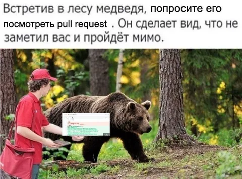Медведь смотрит pull request