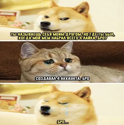 Друг создал четыре аккаунта