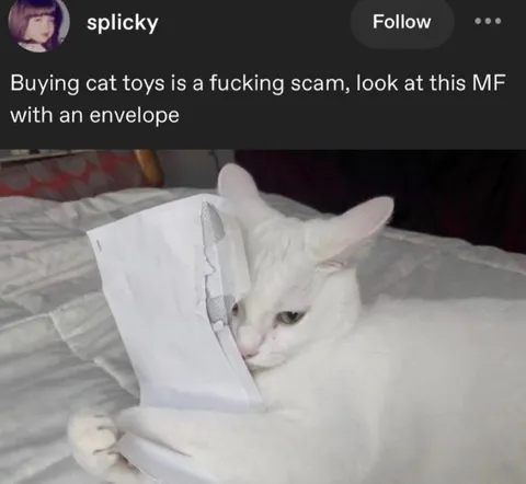 Cat Toy Scam Envelope