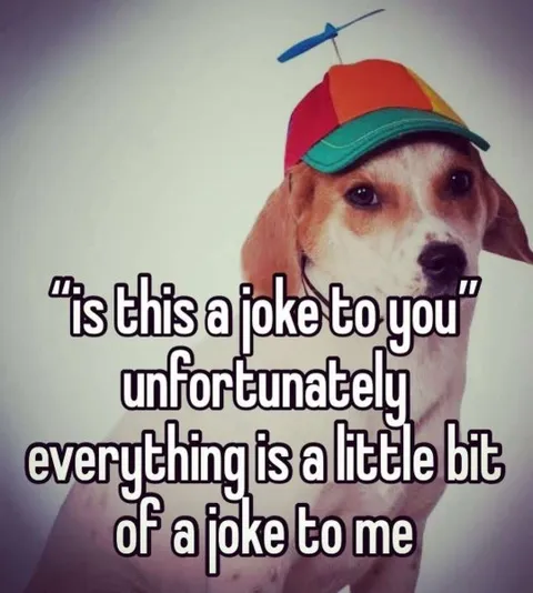 Everything Is a Little Bit Funny