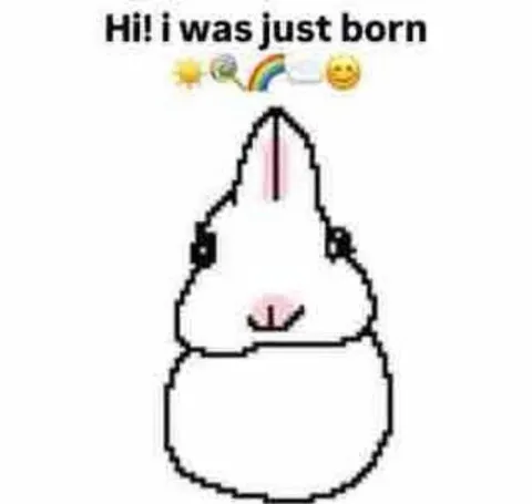 Hi I Was Just Born