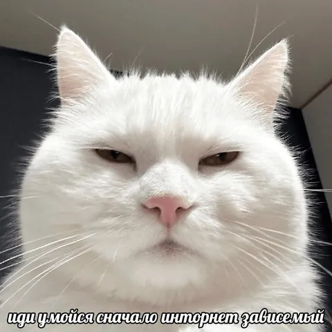 Интернет-зависимый идёт учиться