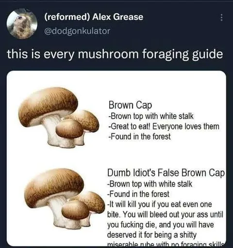 Every Mushroom Foraging Guide