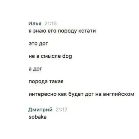 Как будет дог на английском