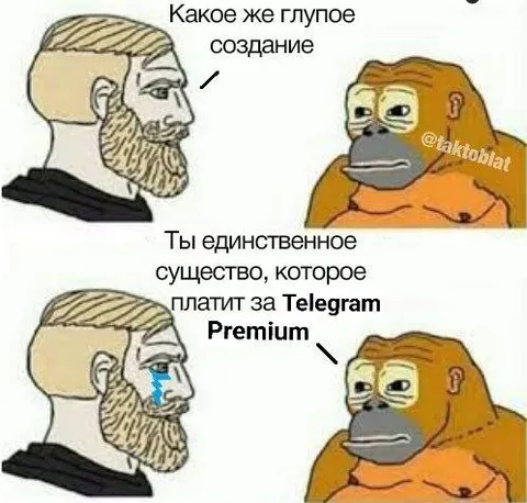 Платит за Telegram Premium
