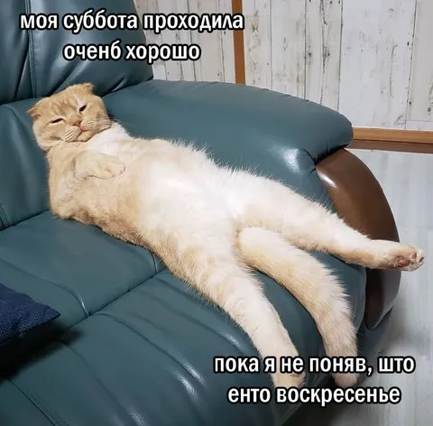 Суббота прошла слишком хорошо