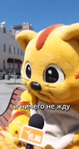 Фурри не верит в диплом