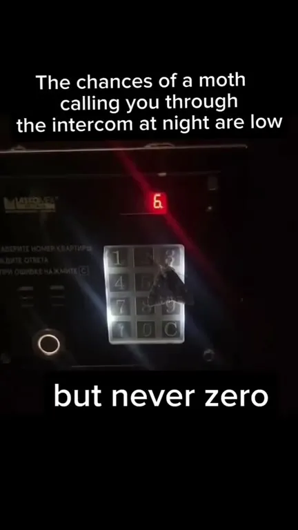 Moth Calls the Intercom at Night