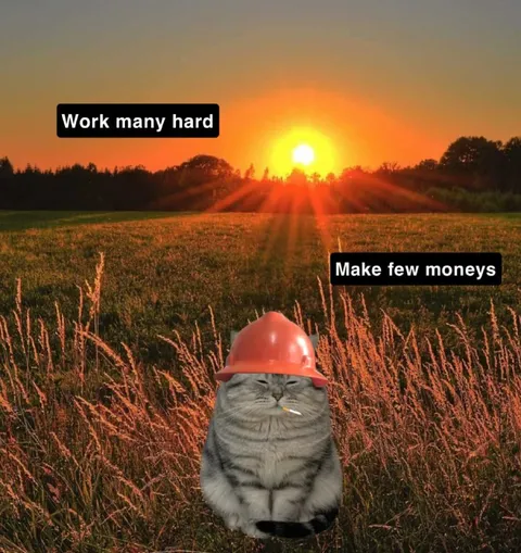 Work Many Hard, Make Few Moneys