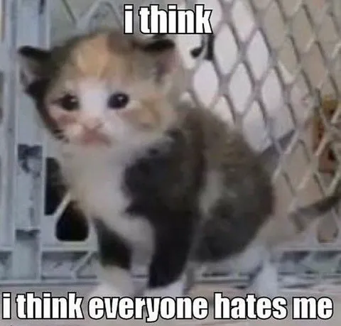 I Think Everyone Hates Me