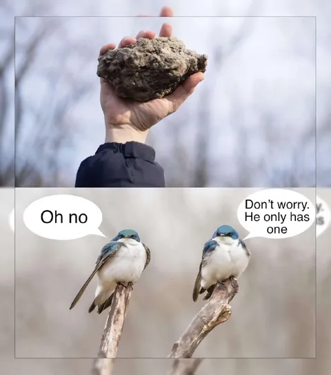 He Only Has One Rock