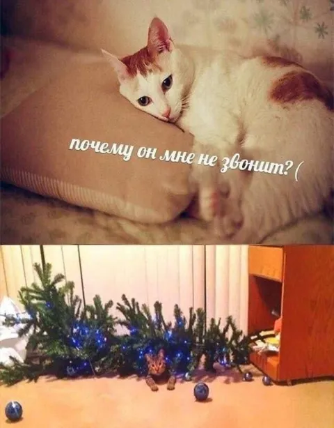 Почему он мне не звонит?