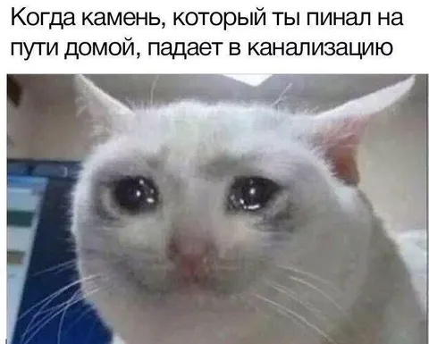 Кот потерял камень в канализации
