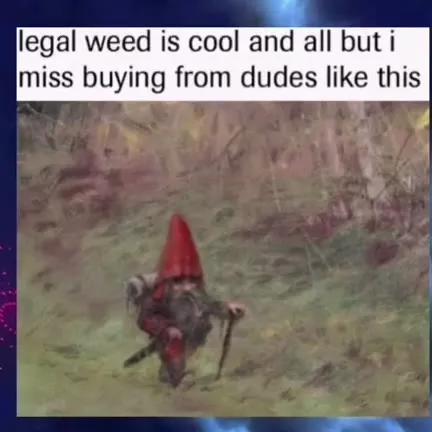 Missing Mysterious Weed Dealers