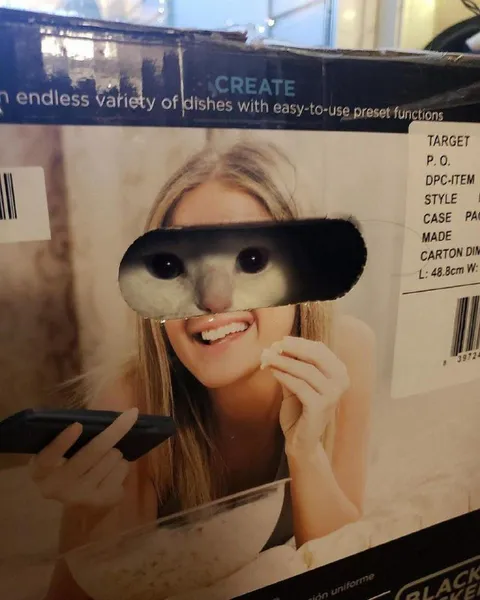 Cat Face on Product Packaging