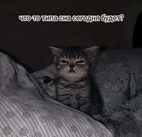 Сон сегодня будет?