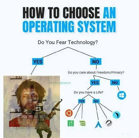 How to Choose an Operating System