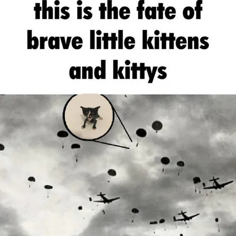 Brave Little Kittens Parachuting