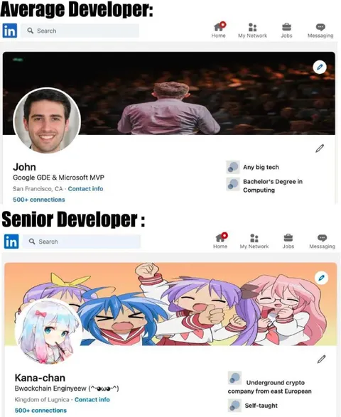 Average Developer vs Senior Developer