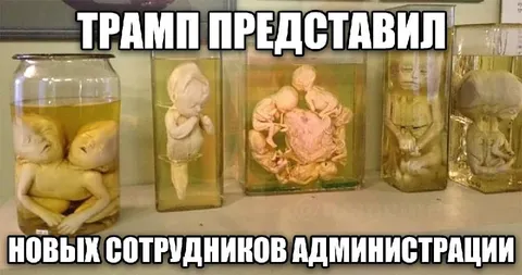 Трамп представил новых сотрудников администрации