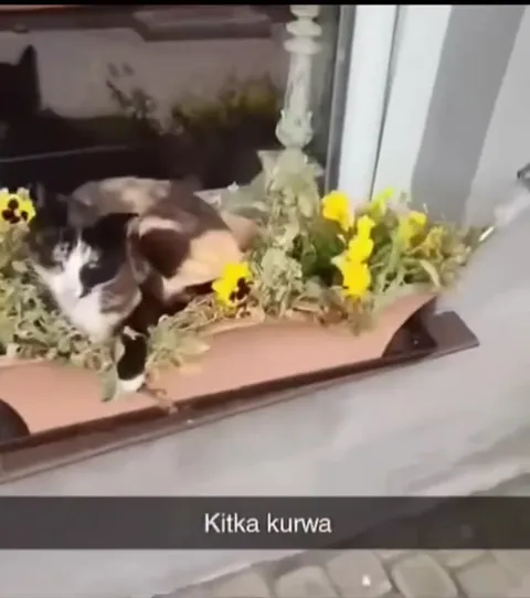Китка курва в цветах