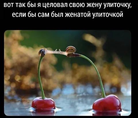Поцелуй улиток на вишнях