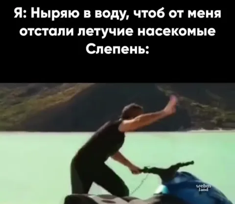 Ныряю в воду от насекомых