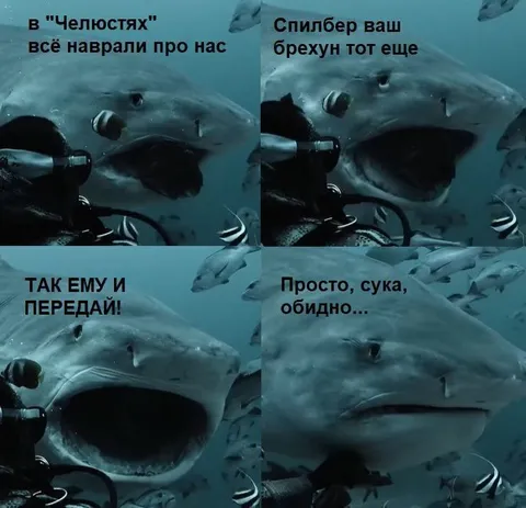 Акула обвиняет Спилберга во лжи