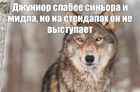 Джуниор не выступает на стендапах