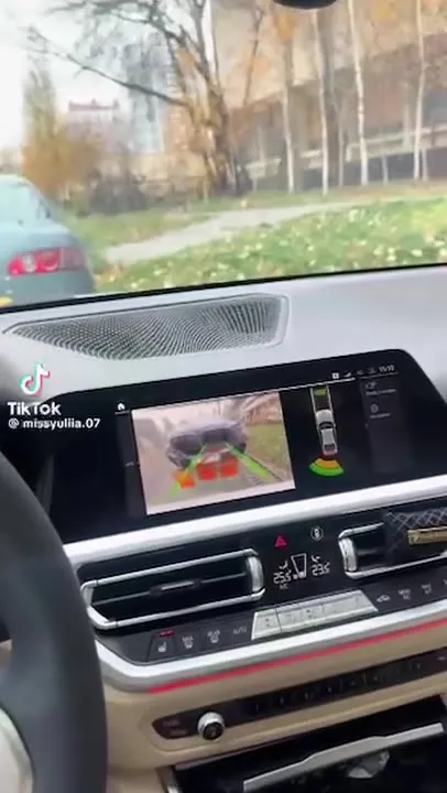 Камера заднего вида увидела BMW