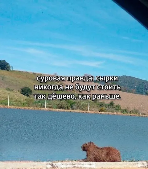 Суровая правда о сырках