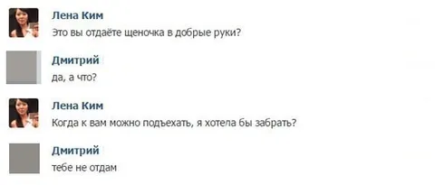 Щеночка в добрые руки