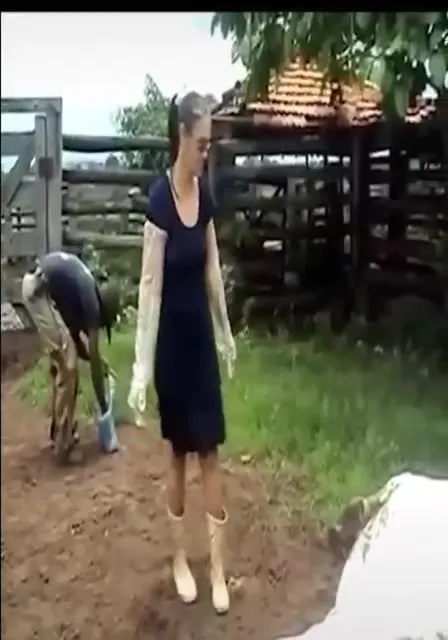 От коровы к хоррору