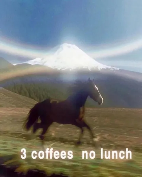 3 Coffees No Lunch