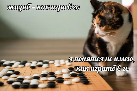 Жизнь как игра в го