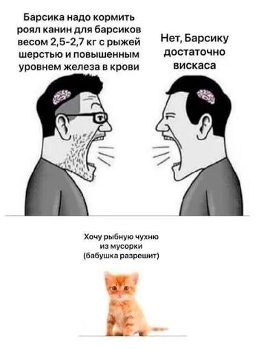 Барсик выбирает корм