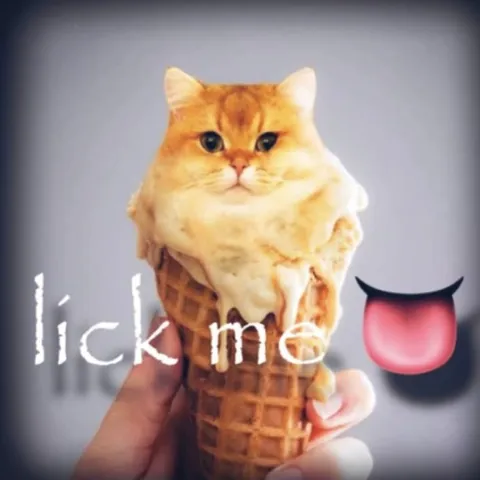 Lick Me Cat Ice Cream
