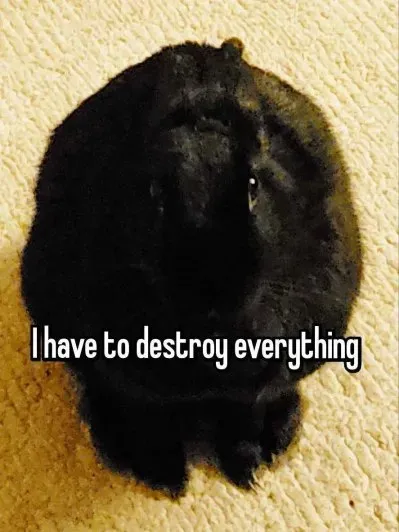 I Have to Destroy Everything