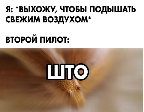 Вышел подышать свежим воздухом