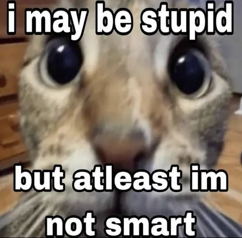 I May Be Stupid Owl