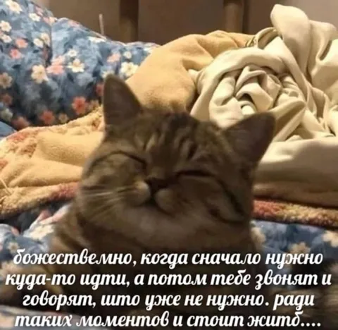 Когда уже не нужно идти