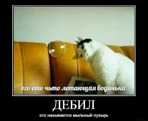 Кот увидел мыльный пузырь