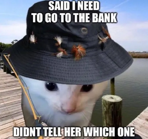 Cat Said I Need to Go to the Bank