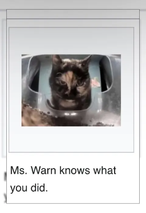 Ms. Warn Knows What You Did
