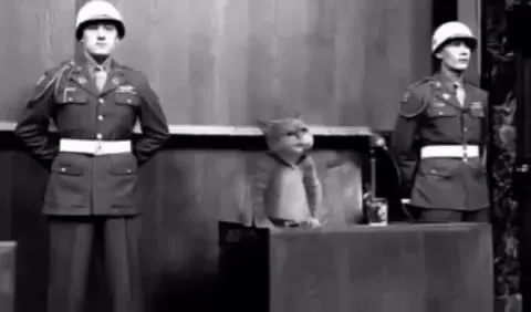 Кот сбегает с поста