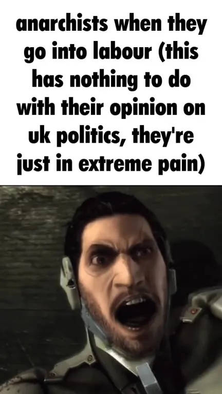 Anarchists Go Into Labour
