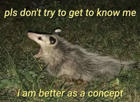 Better as a Concept Possum