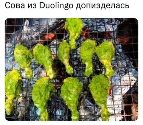 Сова из Duolingo допизделась